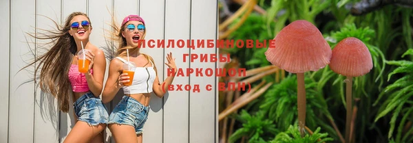 первитин Осташков