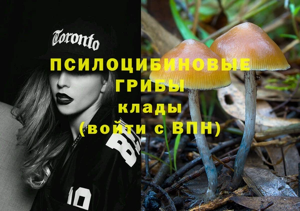 метадон Алексин