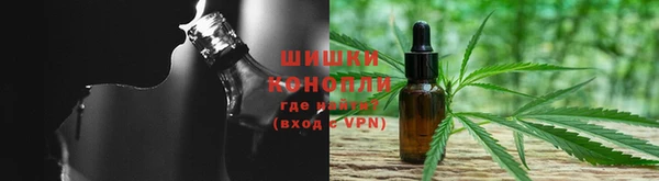 гашик Алексеевка
