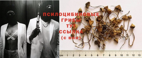 гашик Алексеевка