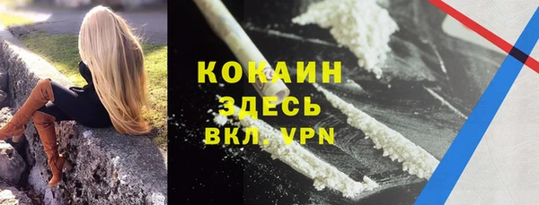 гашик Алексеевка