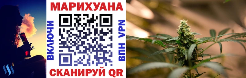 Канабис сатива  Дно 